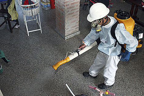 crece-la-preocupacion-por-aumento-de-casos-de-dengue-en-provincia-argentina