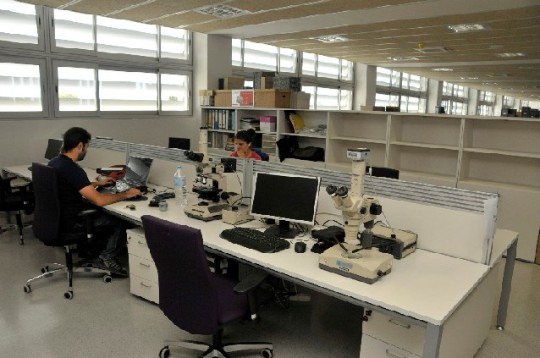 La investigación es la estrategia humana que ha hecho posible un progreso exponencial de nuestro género - IPHES Sala de recerca