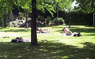 nudistas
