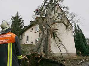 Bomberos trabajan en la retirada de un �rbol derribado por el temporal en Fr�ncfort. (Foto: EFE)