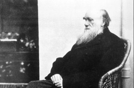 Foto de archivo de 1875. Foto de archivo de 1875.