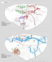 Dibujos de la fauna y el mapa. /J.H.,E. Dibujos de la fauna y el mapa. /J.H.,E.