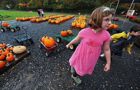 Niños transportan calabazas para celebrar Halloween en EEUU. | Afp