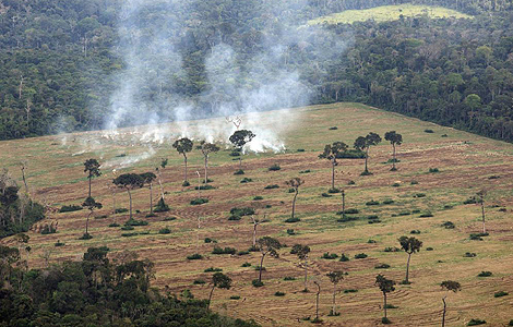 Quema de terrenos para acondicionarlos para el cultivo de soja cerca de Santarem, en Brasil. | Foto: Asociación Trujillo 2011