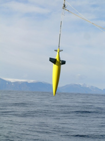 El planeador 'iRobot Seaglider'. | CSIC