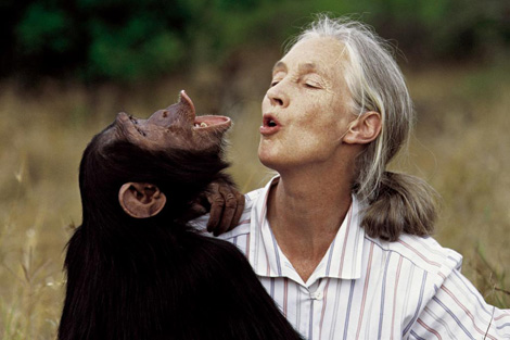 Jane Goodall con un chimpancé de la reserva de Gombe. | Instituto Jane Goodall