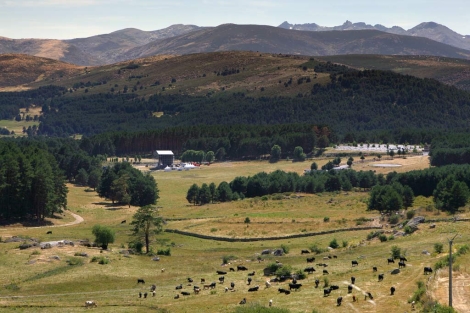 Espacio natural donde se est� montanto el escenario. | R. Mu�oz
