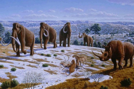 Recreación artística de la fauna glaciar prehistórica que habitaba nuestra península. | P.Novák