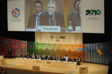 El presidente de la Agencia Federal de Medio Ambiente. | Efe