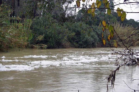 Residuos tóxicos en el río Guadaira. | El Mundo