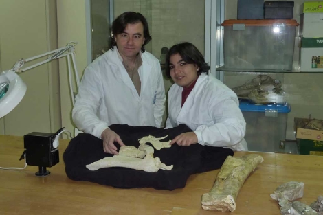 José Ignacio Canudo y Penélope Cruzado, con los fósiles.| Universidad de Zaragoza