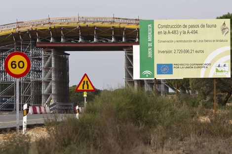 Paso elevado, conocido como ecoducto, en la A-94. | Efe Paso elevado, conocido como ecoducto, en la A-94. | Efe