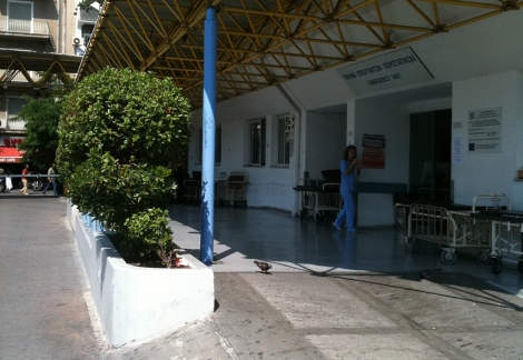 Los cuatro arbustos plantados a la entrada del hospital Evagelismos, en Atenas. | I.H.V