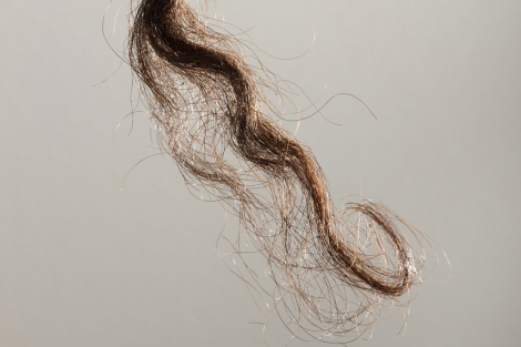 Mechón de pelo de un aborigen que se usó para obtener su ADN. | Science