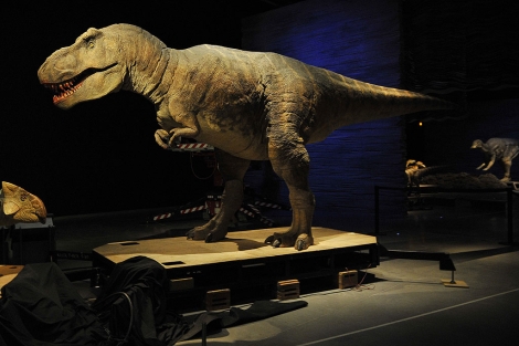 El fósil de un dinosaurio en el Parque de las Ciencias de Granada. | Rep. Gráfico: J.G. Hinchado