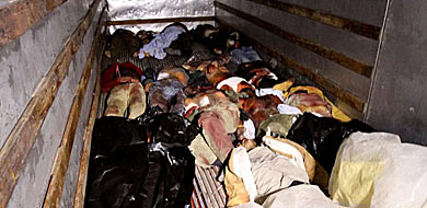 Una veintena de cadáveres en un hospital de Homs. | Afp