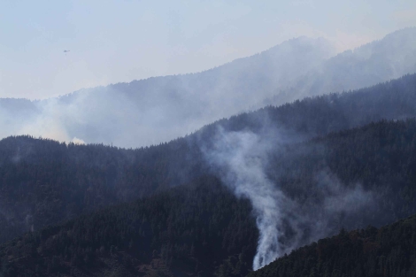 Incendio declarado en el Serran�a de Ronda. | C. D�az