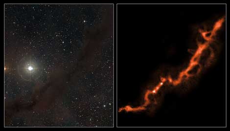 El filamento que absorbe la luz visible (izquierda) emite ondas de radio (derecha). | ESO/APEX (MPIfR/ESO/OSO), DSS2, D. De Martin -A. Hacar et al. El filamento que absorbe la luz visible (izquierda) emite ondas de radio (derecha). | ESO/APEX (MPIfR/ESO/OSO), DSS2, D. De Martin -A. Hacar et al.
