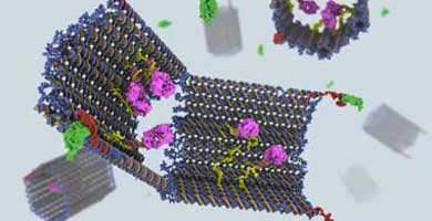 El nano-robot fabricado a partir de ADN. | C. Strong/S. Douglas/G. McGill
