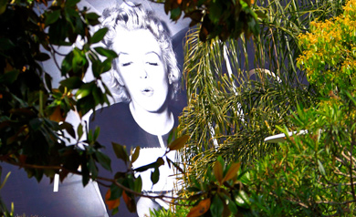 Los novísimos de Hollywood, en Cannes