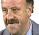 Foto de Vicente del Bosque