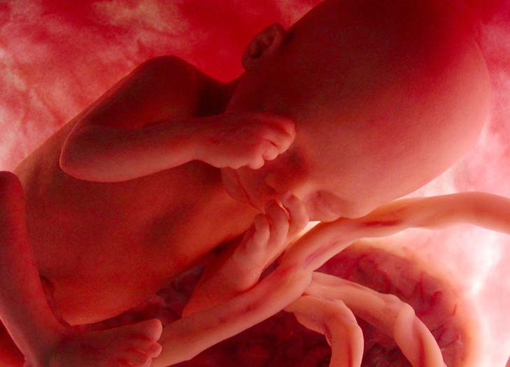 Maternidad Maternidad