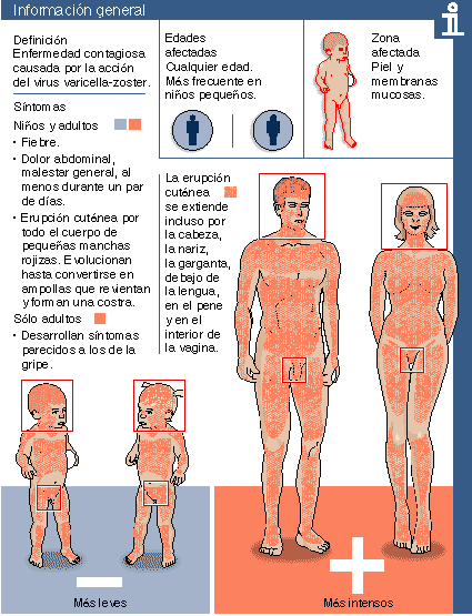 HEPATITIS B CONGENITA hepatitis b congenita: