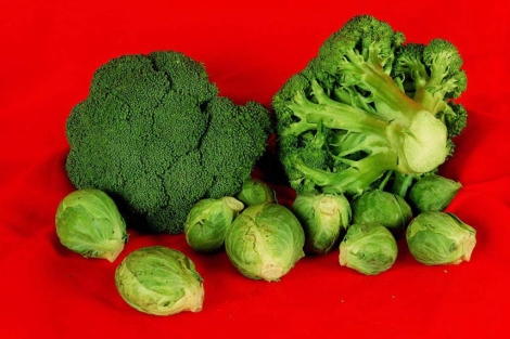 Este vegetal es rico en ácido fólico, vitaminas y hierro. | El Mundo