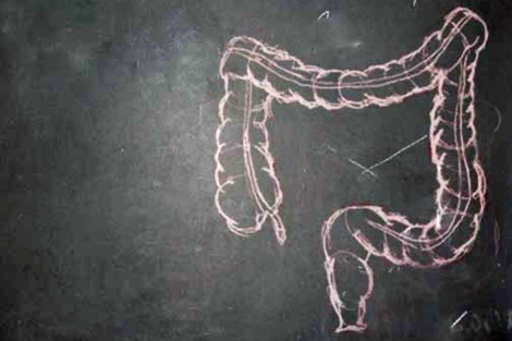 Ilustración de un intestino. | El Mundo