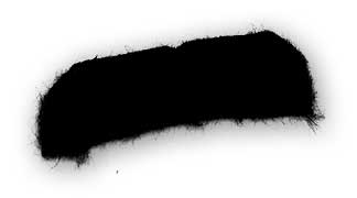 Bigote