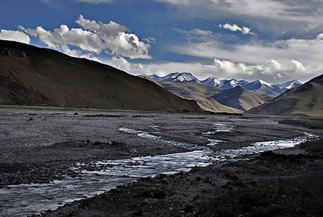 tibetanos tibetanos