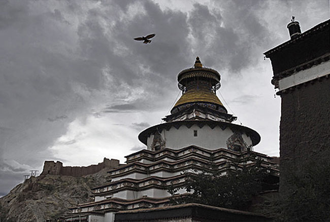 tibetanos tibetanos