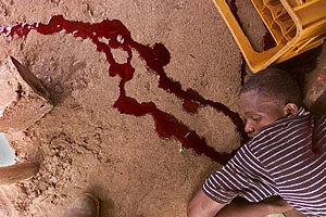 africa