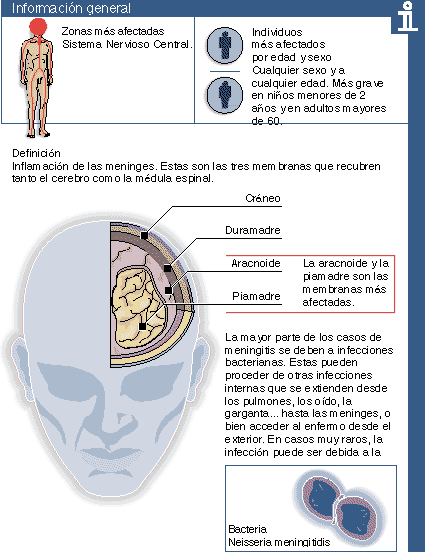 Nombre del meninges origen